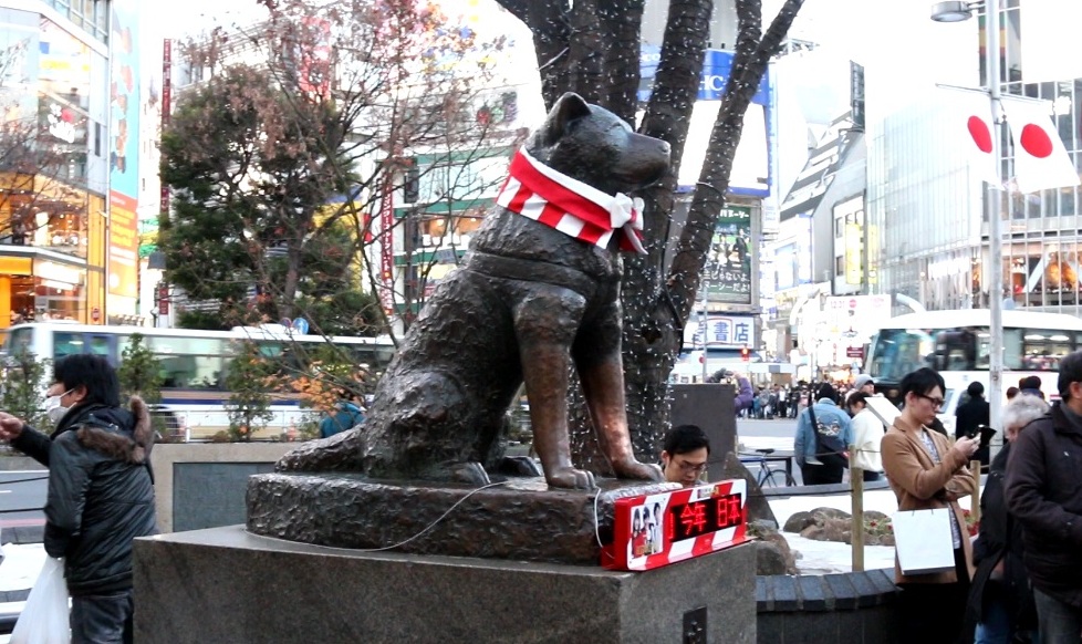 hachigo01.jpg